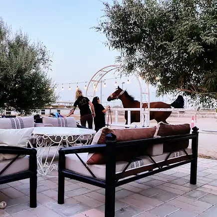 Comfortable outdoor seating area with traditional cushions at Al Jazeerah Equestrian Club, with a horse and trainers in the background.